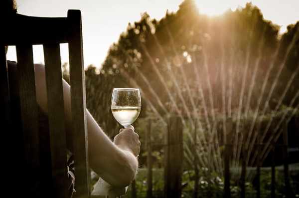 Alkoholfreie Weinalternativen, Sine Vino, Alternative zu Wein, Alkoholfrei, Österreich und Deutschland