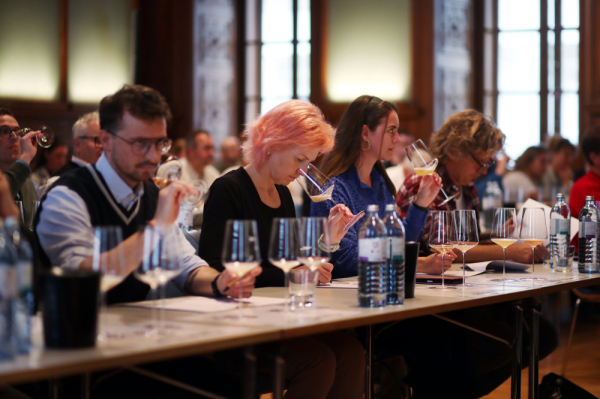 No & Low Masterclasses im Palais Niederösterreich 2025